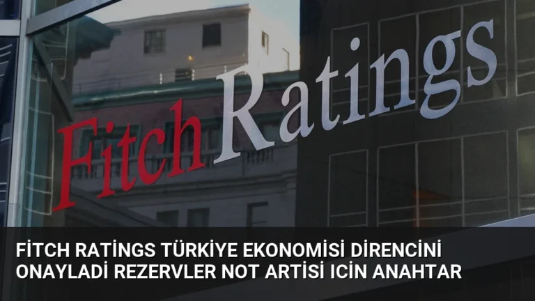 Fitch Ratings Türkiye Ekonomisi Direncini Onayladi Rezervler Not Artisi Icin Anahtar