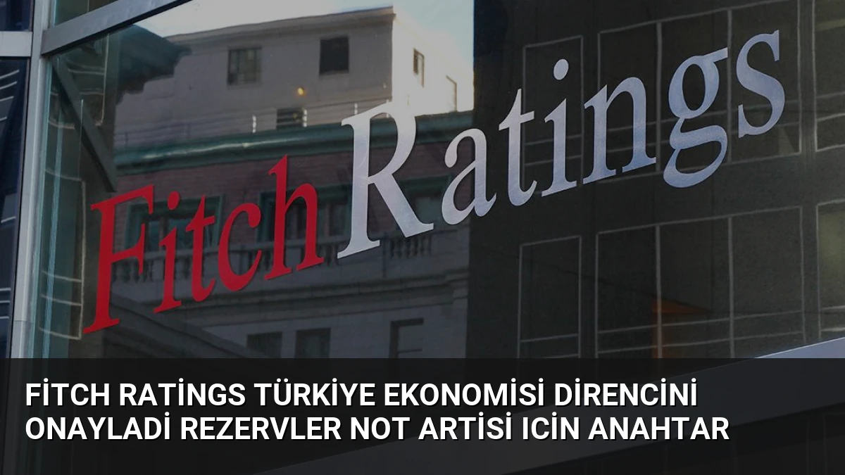 Fitch Ratings Türkiye Ekonomisi Direncini Onayladi Rezervler Not Artisi Icin Anahtar