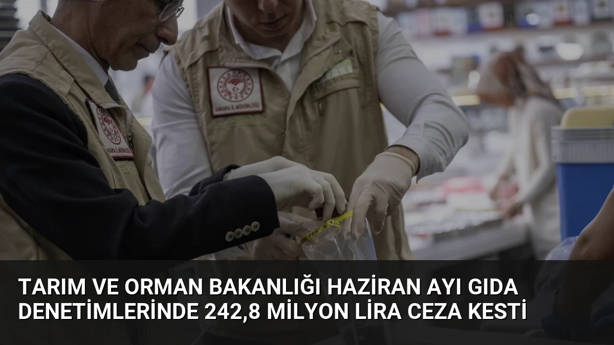 Tarım ve Orman Bakanlığı Haziran Ayı Gıda Denetimlerinde 242,8 Milyon Lira Ceza Kesti