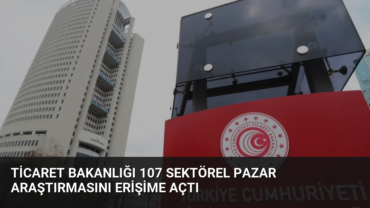 Ticaret Bakanlığı 107 Sektörel Pazar Araştırmasını Erişime Açtı