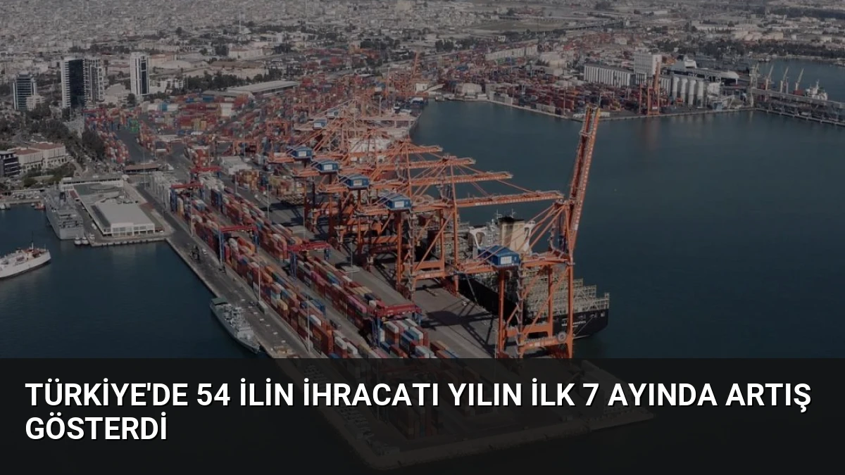 Türkiye’de 54 ilin ihracatı yılın ilk 7 ayında artış gösterdi