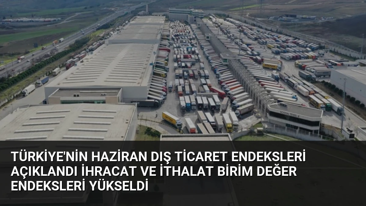 Türkiye’nin Haziran Dış Ticaret Endeksleri Açıklandı İhracat ve İthalat Birim Değer Endeksleri Yükseldi