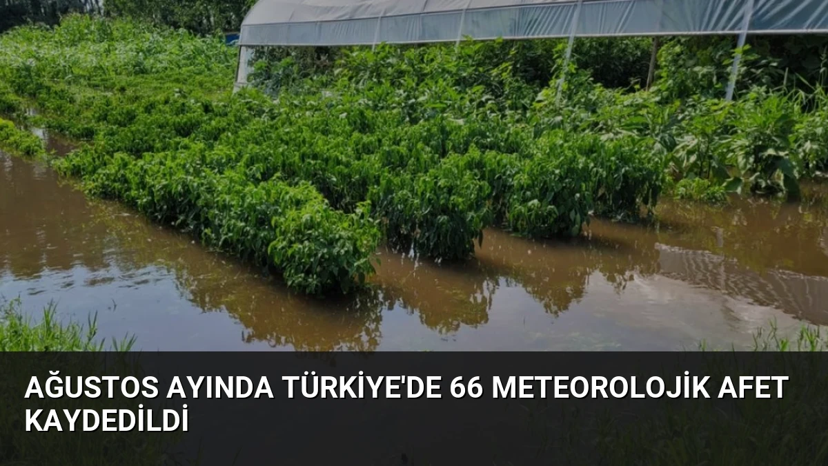 Ağustos Ayında Türkiye’de 66 Meteorolojik Afet Kaydedildi
