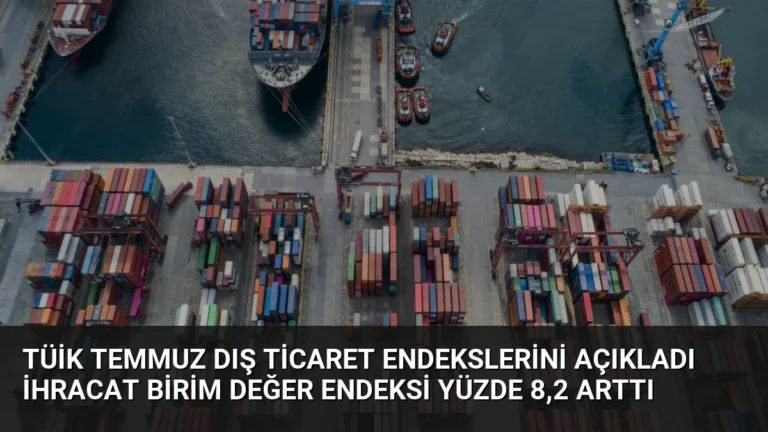 TÜİK Temmuz Dış Ticaret Endekslerini Açıkladı İhracat Birim Değer Endeksi Yüzde 8,2 Arttı