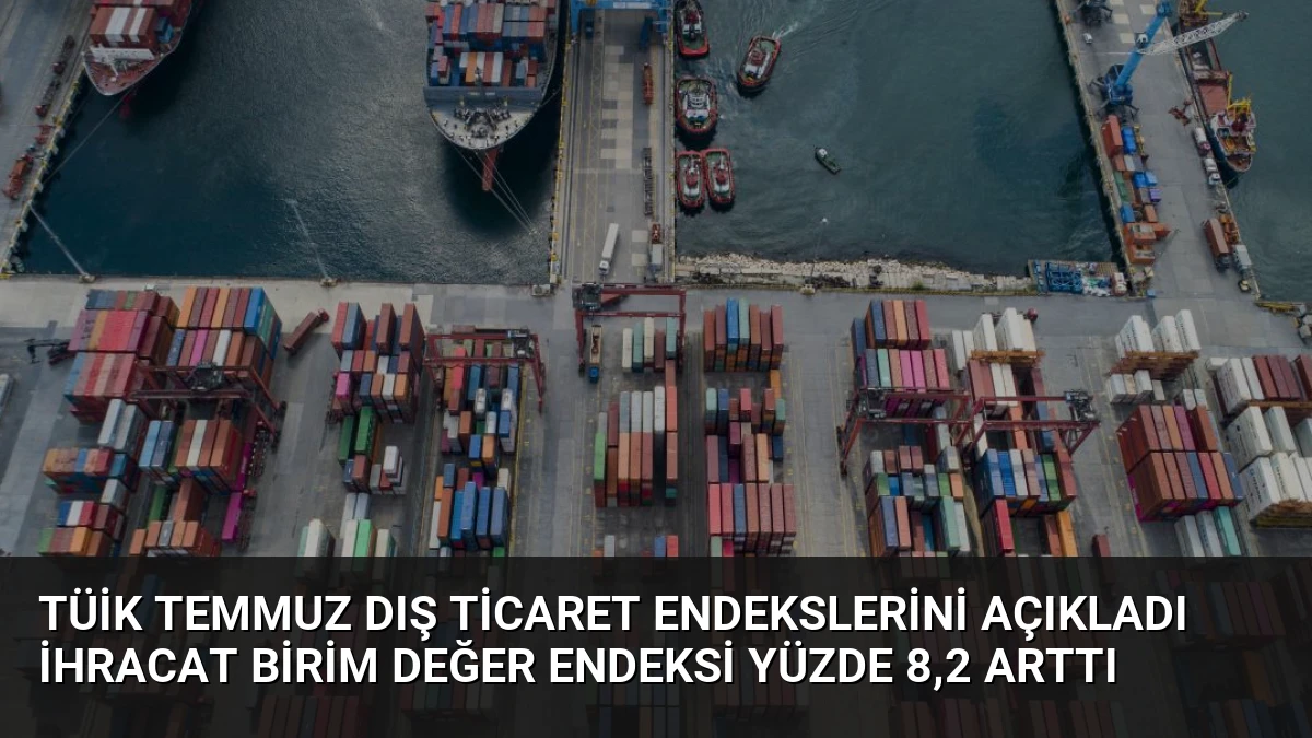TÜİK Temmuz Dış Ticaret Endekslerini Açıkladı İhracat Birim Değer Endeksi Yüzde 8,2 Arttı