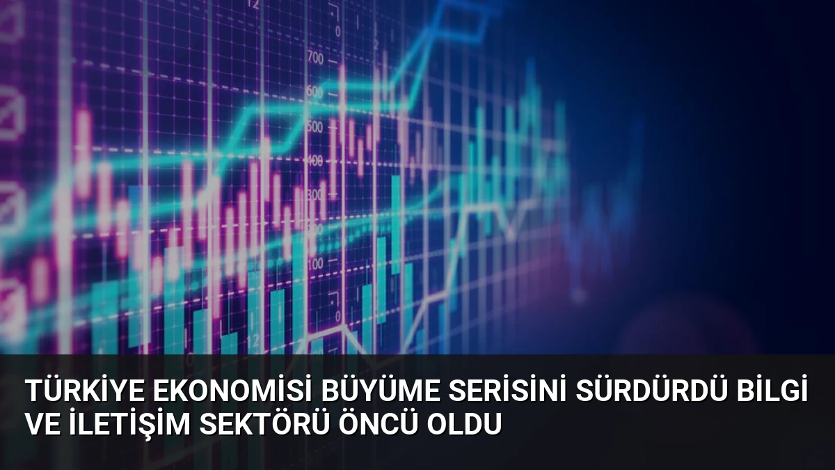Türkiye Ekonomisi Büyüme Serisini Sürdürdü Bilgi ve İletişim Sektörü Öncü Oldu