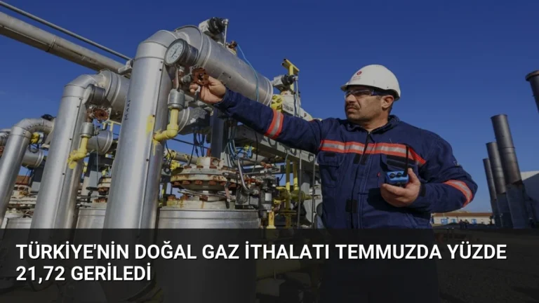Türkiye’nin Doğal Gaz İthalatı Temmuzda Yüzde 21,72 Geriledi