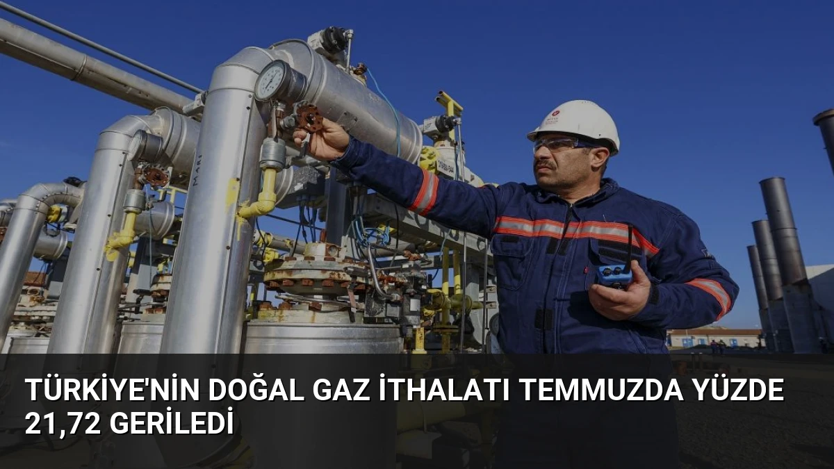 Türkiye’nin Doğal Gaz İthalatı Temmuzda Yüzde 21,72 Geriledi